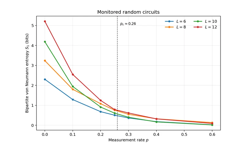 Figure 13(a) · Measurement-induced entanglement
