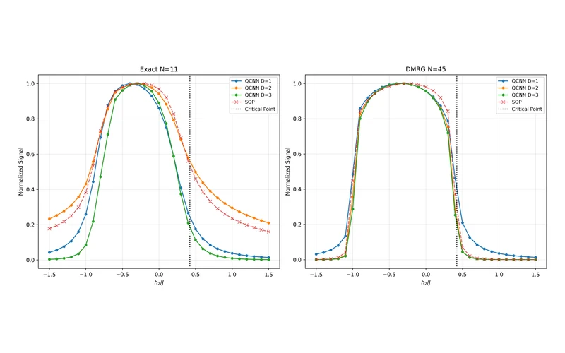 Figure 2(c) · QCNN phase recognition